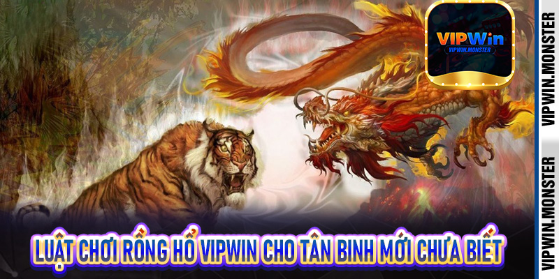 Luật chơi rồng hổ Vipwin cho tân binh mới chưa biết