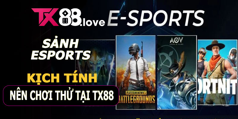 Sảnh Esports – Thế giới game điện tử đầy màu sắc