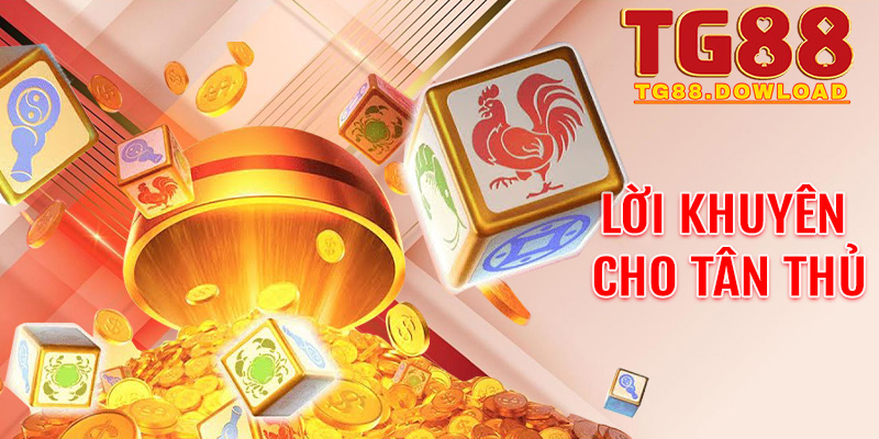 Lời khuyên cho tân thủ: Giữ nét đẹp văn hóa trong từng ván cược